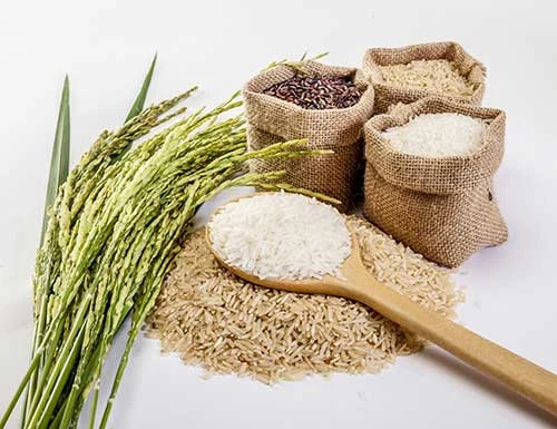 Arroz y espigas junto a sacos de cereales