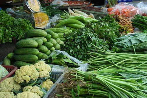 Verduras de hoja y hortalizas